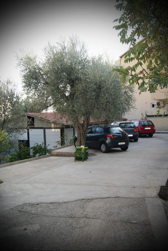 Guest House Ratko Rafajlovići Extérieur photo